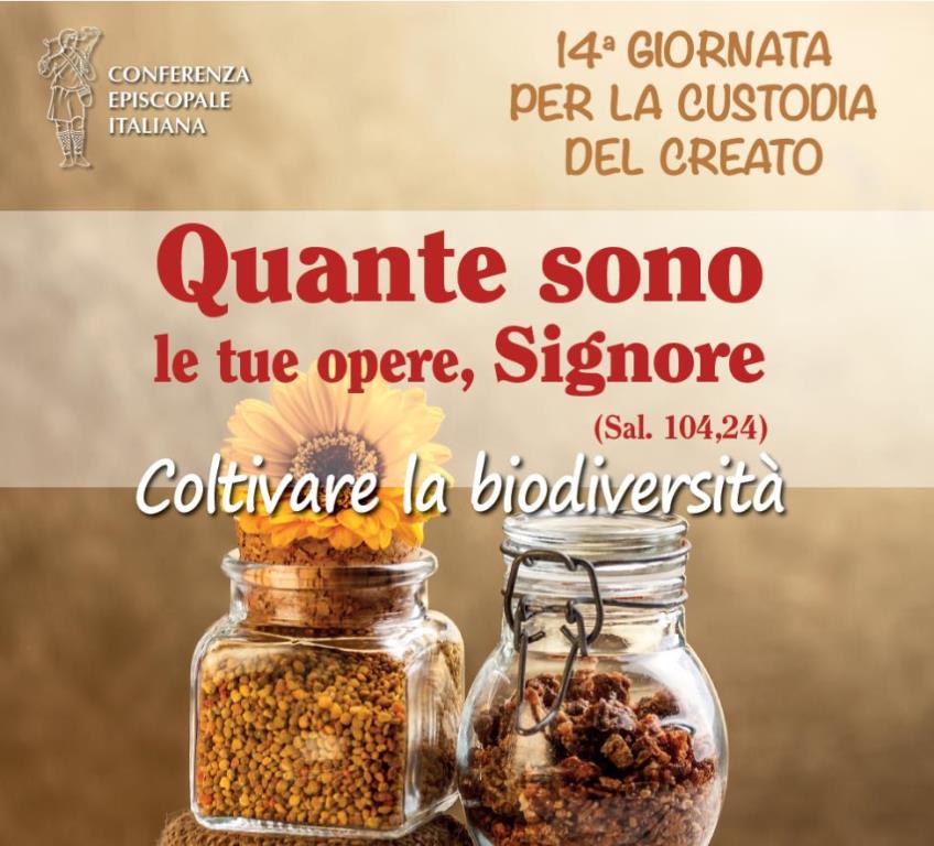 anteprima_creato_2019